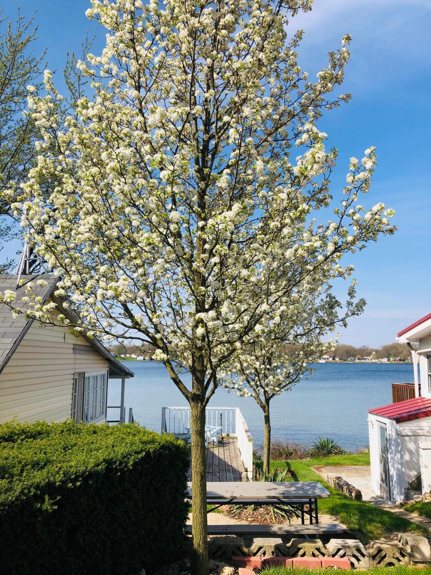 The Wellington Lake Cottage Middlebury Exterior photo