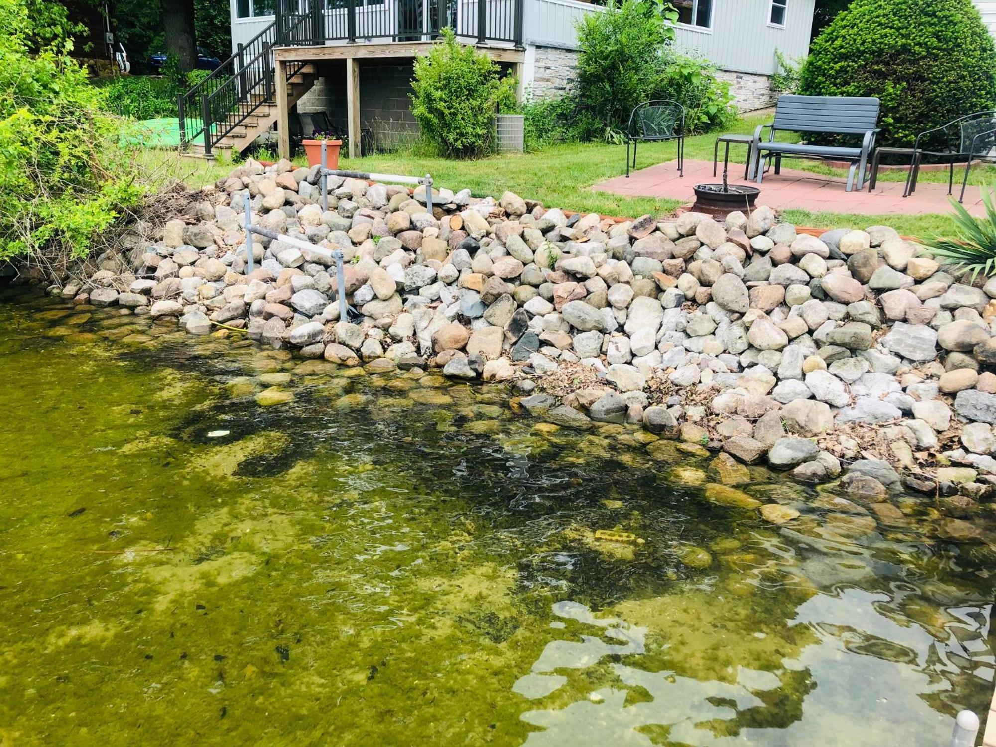 The Wellington Lake Cottage Middlebury Exterior photo